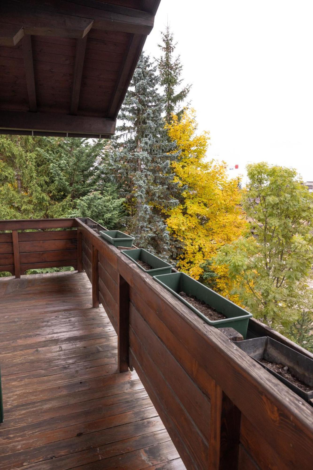 Apartamento Casa Ca Dei Fiori A Due Passi Dal Centro Di Cortina Cortina dʼAmpezzo Exterior foto